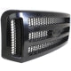 FO1200472 2005 Ford Grille