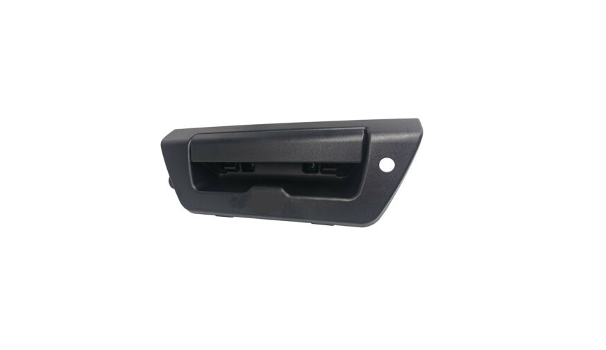 2015-2017 Ford F150 Handle - FO1915136