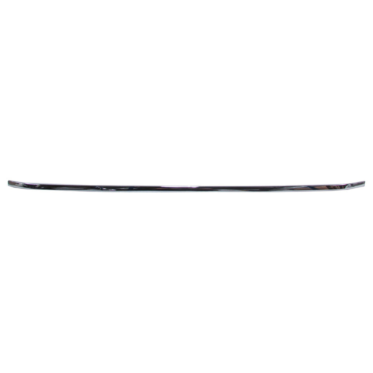 2010-2024 TOYOTA 4RUNNER Rear Bumper Cover Molding