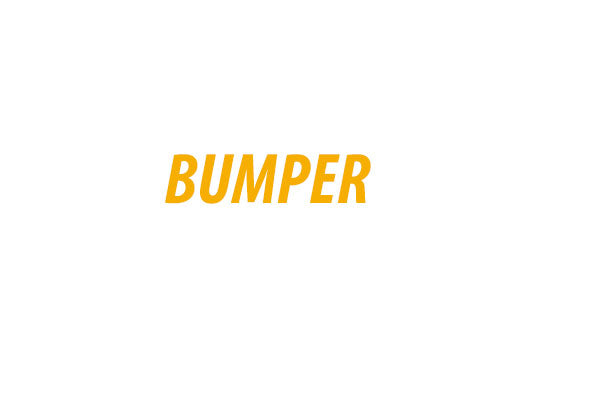 DODGE Ram 1500 2500 3500 2009-2012 Bumpers