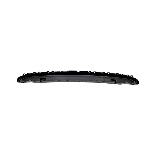 2019-2024 DODGE RAM 1500 Front Bumper Grille Insert