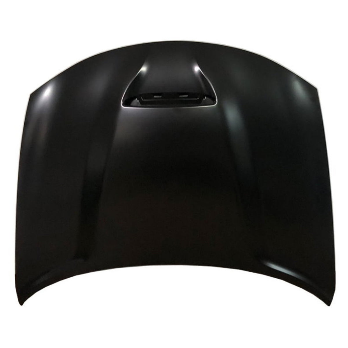 2015-2023 DODGE CHARGER Hood