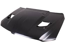 Dodge RAM 1500 Hood Fits: 2019 - 2025 CH1230338