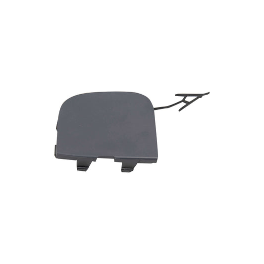 2024-2025 FORD MUSTANG Front Tow Hook Cover