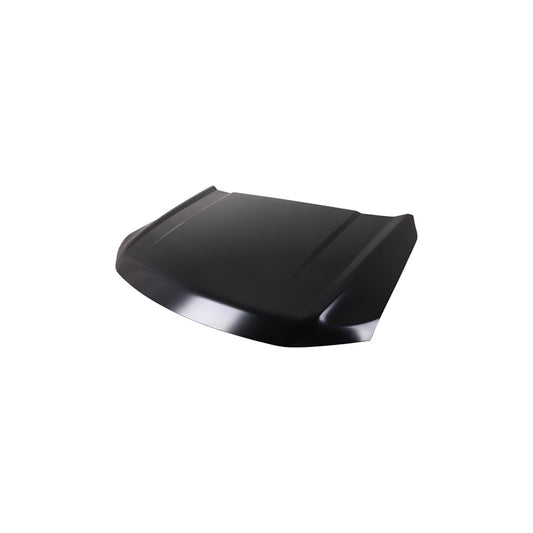 2022-2024 FORD F150 Hood