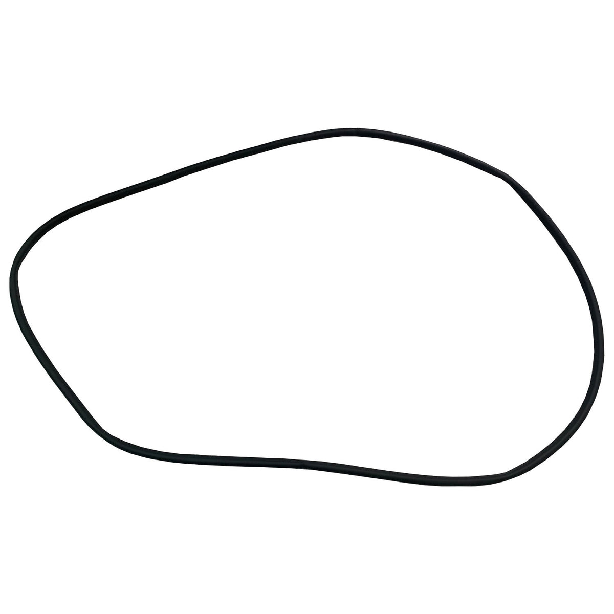 2013-2019 FORD ESCAPE Front Door Seal Driver Side