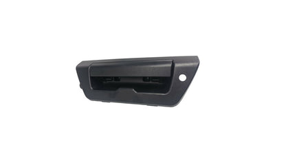 2015 - 2017 Ford F150 Tailgate FO1915136