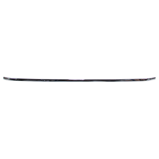 2010-2024 TOYOTA 4RUNNER Rear Bumper Cover Molding