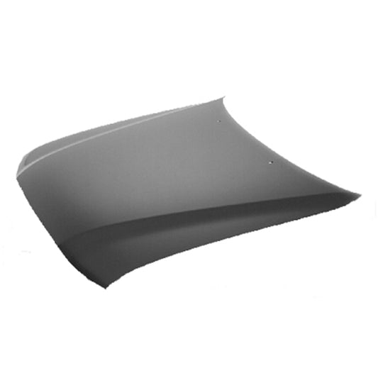 2001-2004 TOYOTA TACOMA Hood